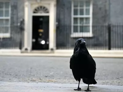 Possible contenders in UK Labour Party leadership race