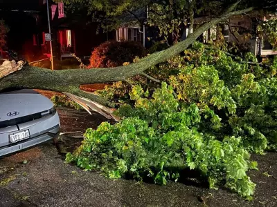 Power Outages Persist Across GTA After Severe Storm