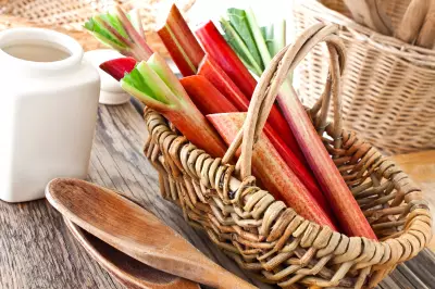 Recipes For Rhubarb Season: Fresh Ideas For Cooking