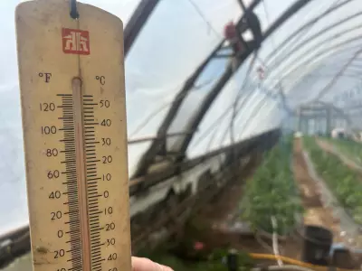 Record Heat Prompts Maritimers to Share Stories of Unusual Temperatures