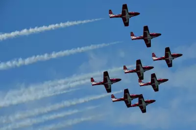 Retiring Snowbirds 'Unnecessary,' Aircraft 'Structurally Capable': Former MP