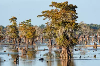 Rising Seas Will Swallow New Orleans, Scientists Urge Relocation Now