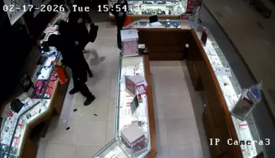 Smash-and-Grab Robberies Caught on Video, 7 Suspects in Custody: Halton Police