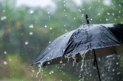 Soggy Sunday: Rainy Mother's Day Expected Across the Maritimes