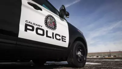 Suspect in Custody After Hit-and-Run in Northeast Calgary