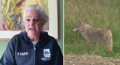 Tips for Coexisting with Wildlife This Spring from Aspen Valley Sanctuary