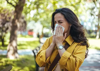 Toronto Sees Explosion of Pollen This Allergy Season: Here's Why