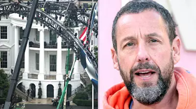 Trump's UFC Fight Night: Celeb Guests Include Sandler, Brady, The Rock