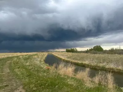 Unsettled Calgary Weather to Persist Through Wednesday Before Warmth Returns