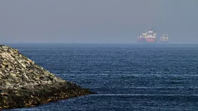 US Denies Iranian Strike on Navy Ship, Offers Strait Guidance