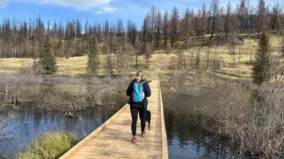 Valley of the Five Lakes Trail in Jasper National Park to Reopen After Wildfire