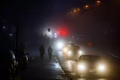 Vehicle Headlights Getting Brighter, Expert Explains LED Changes and Legal Standards