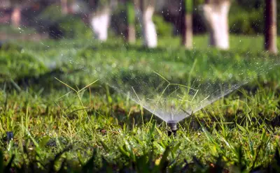Waterloo Region Reinstates Summer Water Conservation Rules