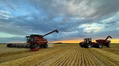 Wet Weather Delays Spring Seeding in Manitoba Farms
