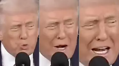 White House mocked for looping Trump 'winning' video for an hour