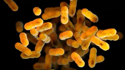Whooping Cough Exposure at Prince Albert Hospital: SHA Details Released