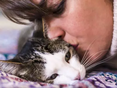 Woman's Home Feels Like a Prison Without a Cat, Writes Dear Abby