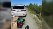 11 Vehicles, Including DoorDash Driver's, Impounded for Speeding in Abbotsford