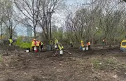 2,000 Needles Collected at Former Encampment Near Ottawa O-Train Stations