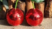 35 Unique and Fun Products to Brighten Your Day in 2024