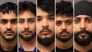 5 Suspects Arrested After Stolen Trailer With $2M in Cannabis Found