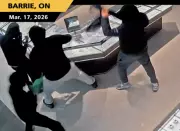 8 GTA Males Charged in Organized Smash-and-Grab Jewelry Robberies