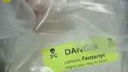 Advocates Urge Manitoba to Declare Public Health Emergency Over Drug Deaths