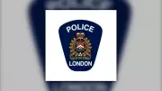 Aggressive Dogs Identified and Located in London