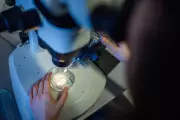 Aging Better: Tech and Chronic Disease Reduction Key to Longevity