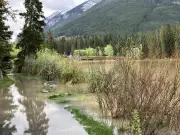 Alberta Flood Prevention: Melting Snowpack and Rain Prompt Measures
