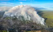 Alberta to Boost Wildfire Firefighting Force by 10% for 2026 Season