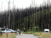 Alberta Wildfire Evacuees Need Better Support, Research Shows
