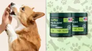Amazon Pet Sale: Wuffles Joint Chews for Senior Dogs at 20% Off