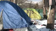 Auditor general slams N.L. tent city fix, but politicians still support it