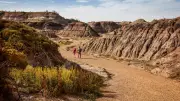 Badlands Bus Route Makes Drumheller Trips Easier Starting May
