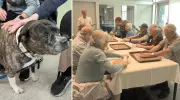 Baking Dog Treats Helps Seniors with Memory Loss Connect to Community