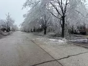 Barrie Declares Emergency Preparedness Week After 2025 Ice Storm