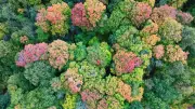 Barrie Mayor Advances Protection of Conservation Lands