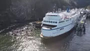 BC Ferries Gears Up for Busy Summer and World Cup Travel Surge