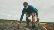 B.C. man sets two Guinness records for planting 48,000 trees in 24 hours