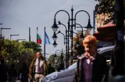 Bear Mauls Man to Death in Bulgaria: Fatal Attack Reported