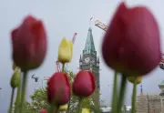 Border Law Faces Constitutional Challenge Over Refugee Claim Rules