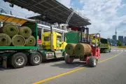 Brant County Sod Farm Prepares for FIFA World Cup Matches in Toronto