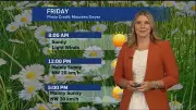 Bright Skies and Mild Temps: Weekend Weather Forecast