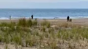 Brooklyn Woman Sentenced for Drowning Three Children in Ocean