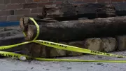 Calgary Downtown Businesses Alarmed by Surge in Alley, Dumpster Fires