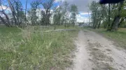 Calgary Humane Society Probes Neglect After Two Dogs Found Dead in Park