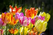 Calgary Kicks Off Warm Weather Stretch with Sunny Weekend