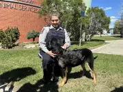 Calgary Peace Officers to Boost Pet Licensing Enforcement This Spring