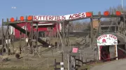 Calgary Petting Farm Reopens After Cryptosporidium Outbreak